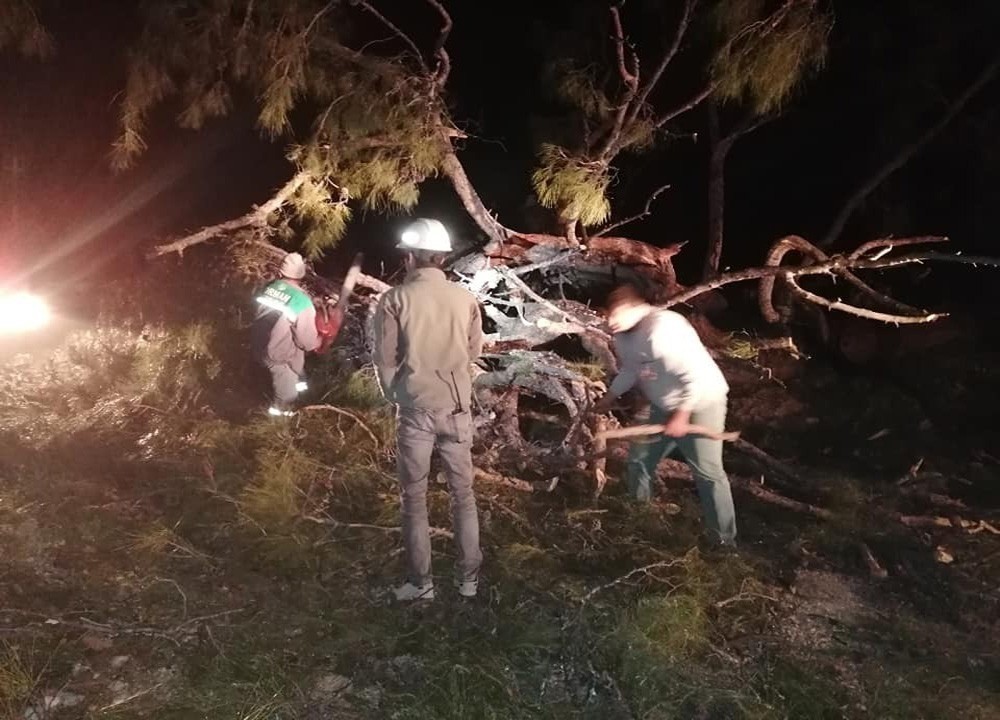 Antalya’da orman yangınında bir ev ile 2 dönüm alan zarar gördü 