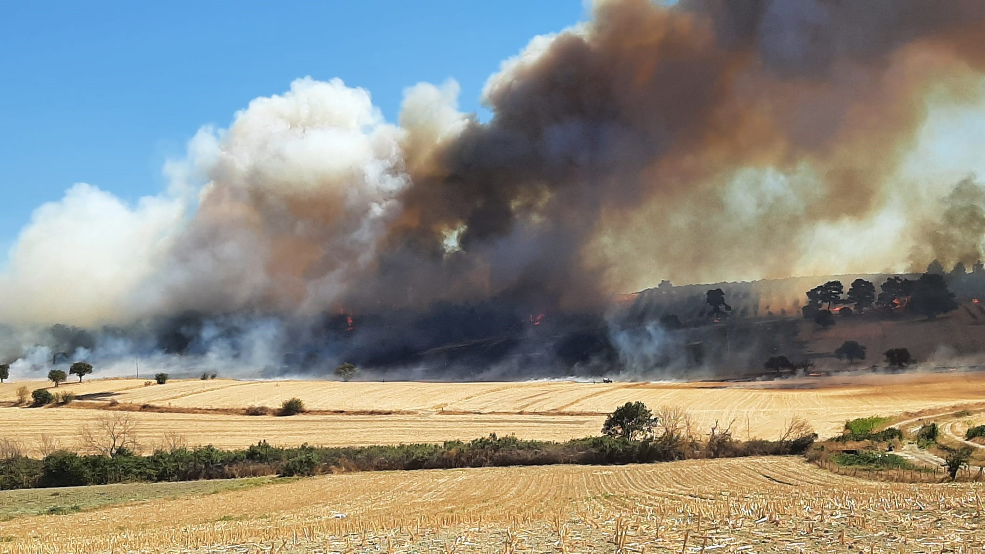 Antalya’da ormanda korkutan anlar! Yangın büyümeden söndürüldü