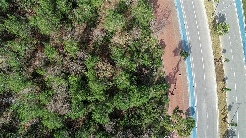 Antalya'da ormanlara giriş yasağı uzatıldı