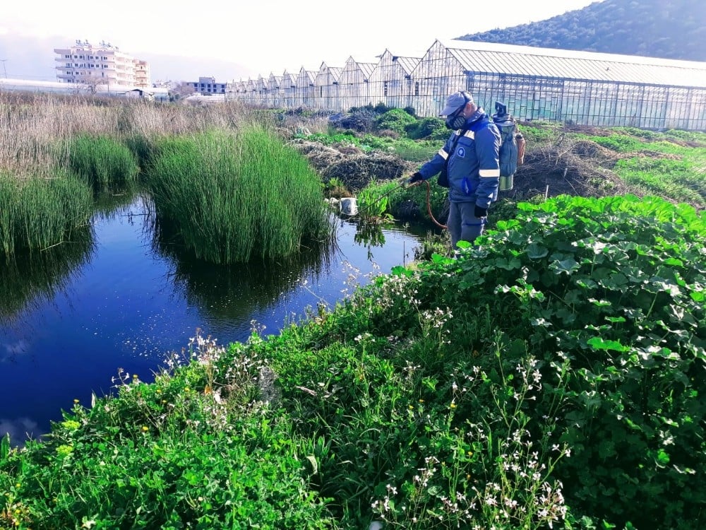 Antalya’da personel ordusu sinek ve haşereyle mücadele ediyor 