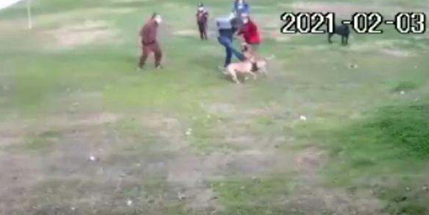 Pitbull dehşeti güvenlik kamerasına yansıdı!