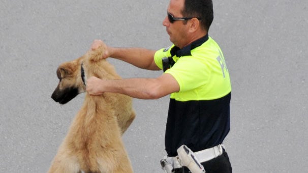 Antalya'da polis bu hareketi yaptı! Bakın ne ödül kazandı
