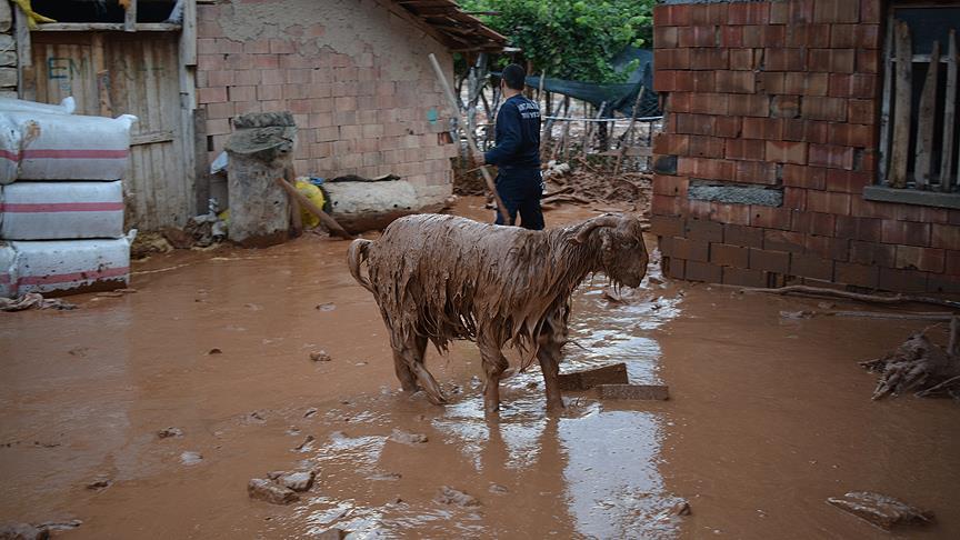 Antalya'da sel ev ve ahırlara zarar verdi