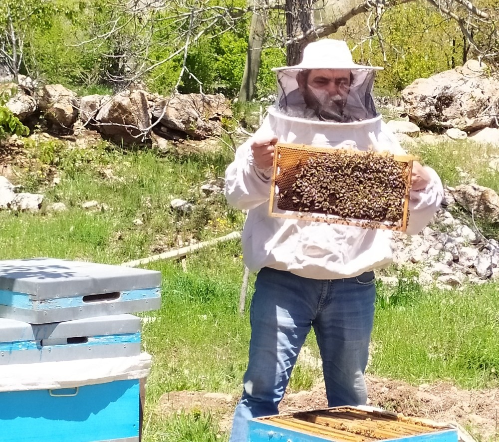 Antalya’da sıcaklıklar arttı, arılar yaylaya taşındı 