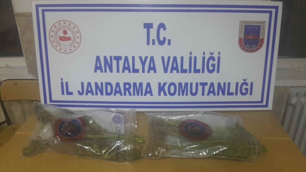 Antalya’da uyuşturucu madde ele geçirildi 