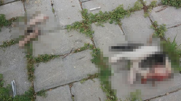 Antalya'da vahşet! Kafası ve bacakları kesilerek öldürülmüş