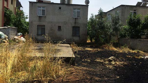 Antalya'da yılan korkusu bir mahalleyi yakacaktı