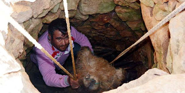 Antalya’da yüzyıllardır süren gelenek, çukurda 2 ay bekletip…