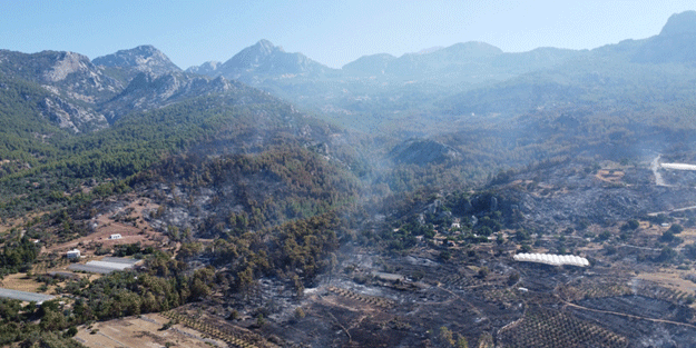 Antalya'dan yüreklere su serpen haber