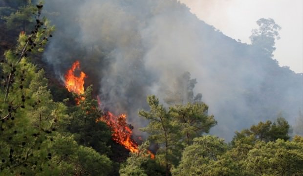 Antalya'daki orman yangını kontrol altında