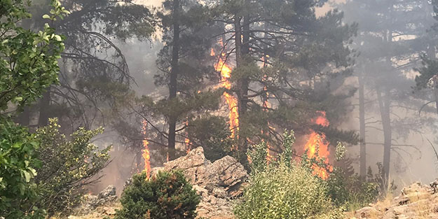 Antalya'daki orman yangını saatlerdir söndürülemiyor!