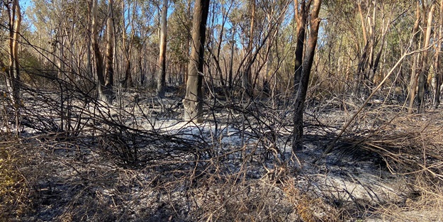 Antalya'daki yangın kontrol altına alındı