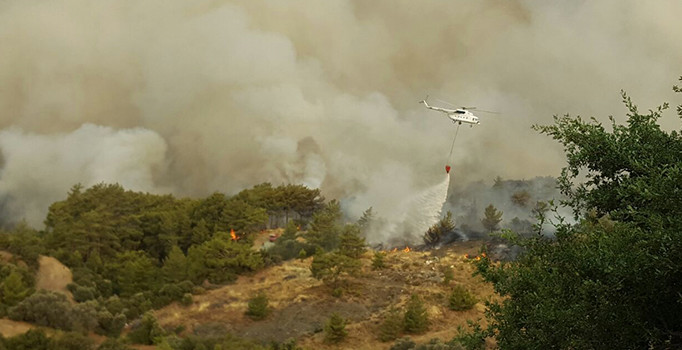 Antalya'daki yangın tekrar başladı