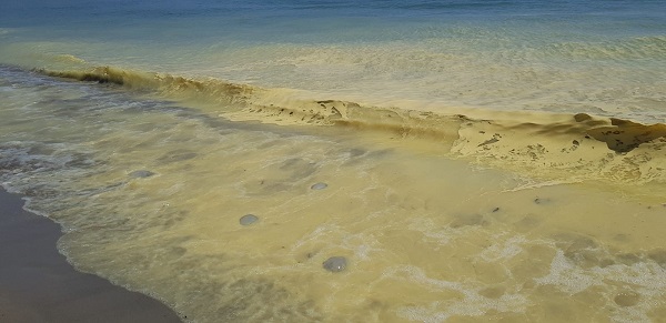 Antalya'dan korkutan manzara