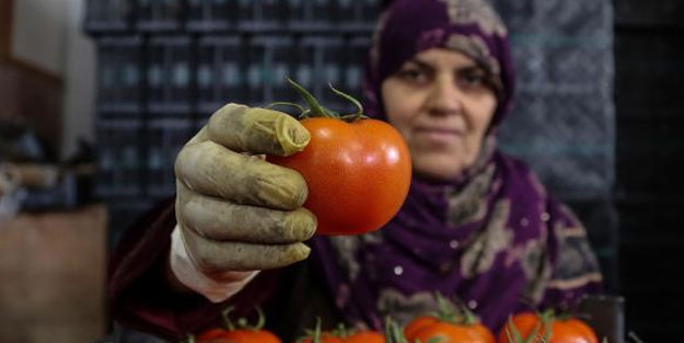 Antalya'dan tanzim satış noktalarına 3 günde 1000 ton sebze gönderildi