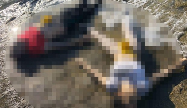 Antalya'nın Alanya ilçesinde dehşete düşüren manzara!