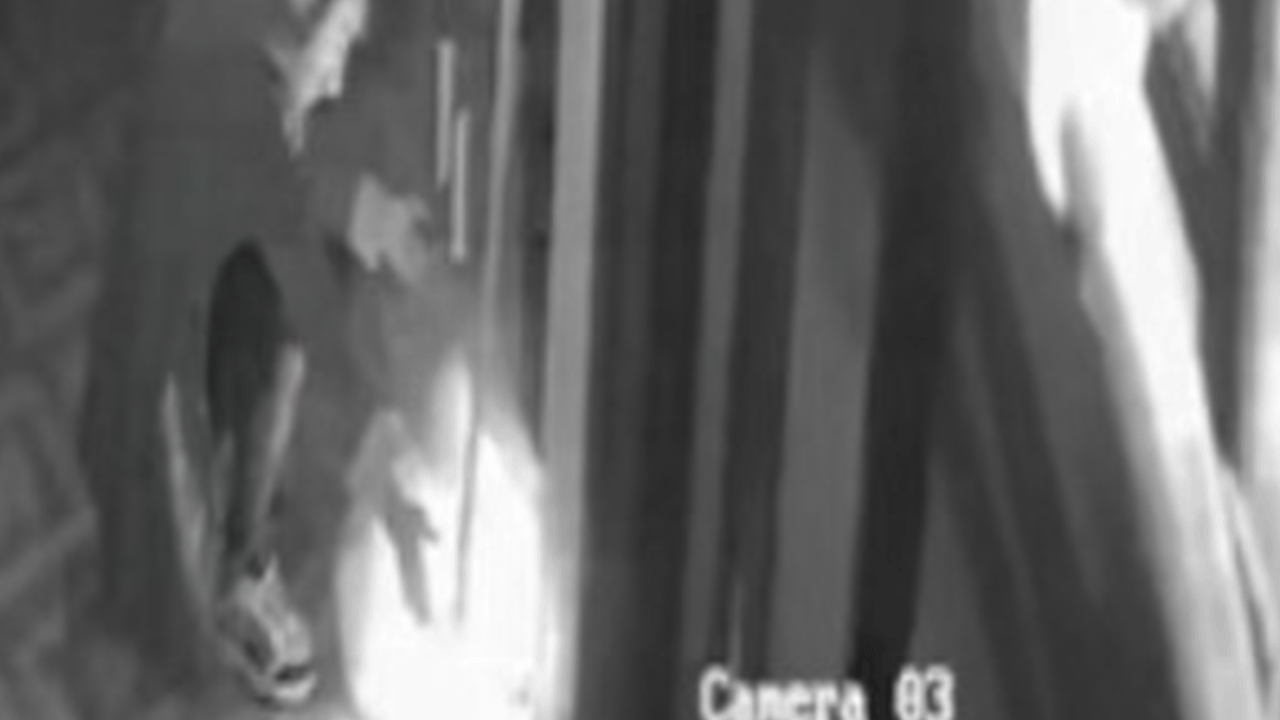 Antalya'nın başına bela oldu: Bütün mahalleyi yakmaya çalıştı!!!