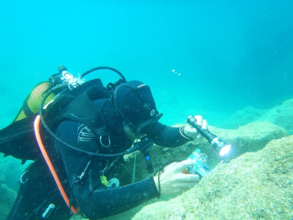 Antalya’nın deniz biyoçeşitliliği inceleniyor 