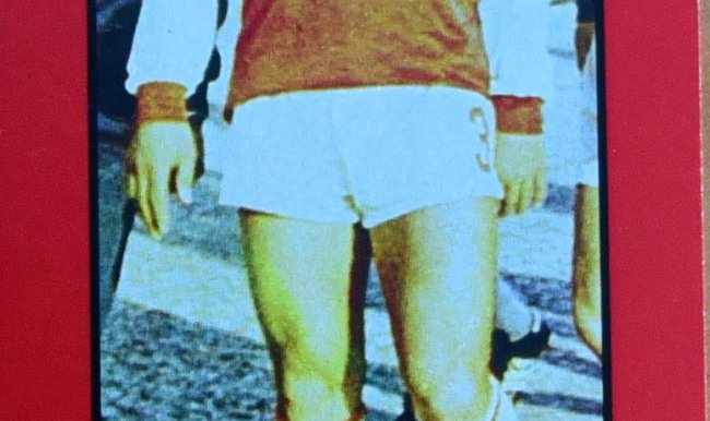 Antalyaspor'un eski futbolcusu Mehmet toprağa verildi