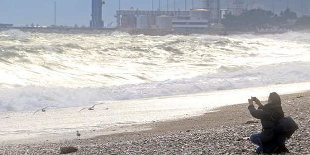Antalya'yı istila ettiler! Görenler telefonuna sarıldı