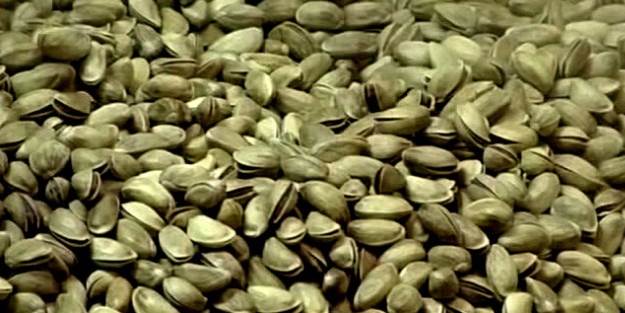 Antep fıstığı ne kadar?