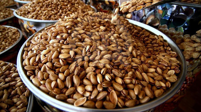 Antep fıstığında üretim hedefi 300 bin ton