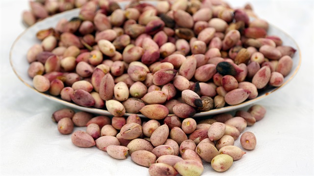 Antep fıstığından kötü haber