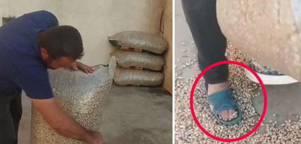 Antep fıstıklarını kilo kilo yere döküp terlikleriyle çiğnedi! Görüntülere büyük tepki var