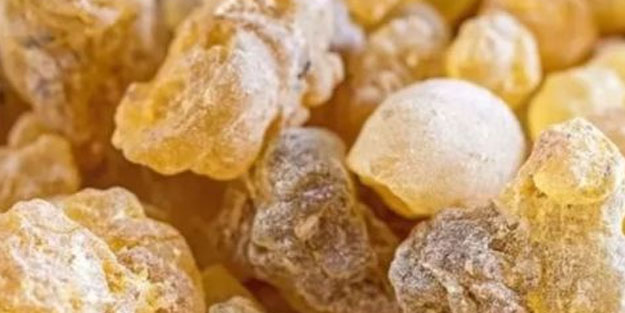 Antibiyotik almaya son! İşte iltihaba meydan okuyan bitki: Toksinleri vücuttan söküp atıyor..