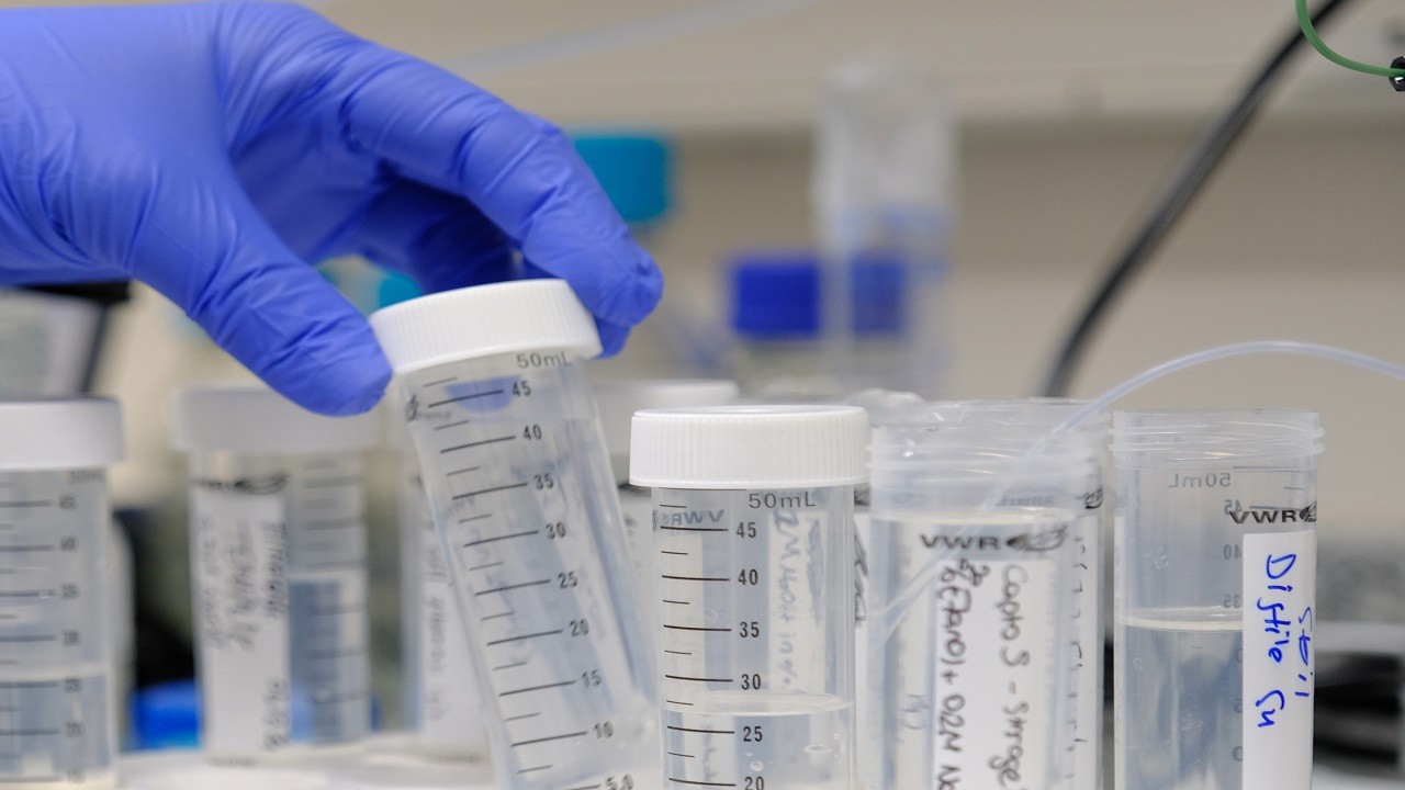 Antibiyotik direncine karşı umut