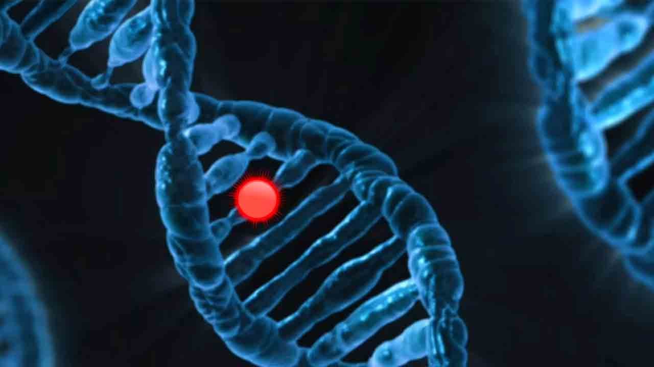 Antibiyotiklere yeni rakip: DNA’dan üretilen virüsler