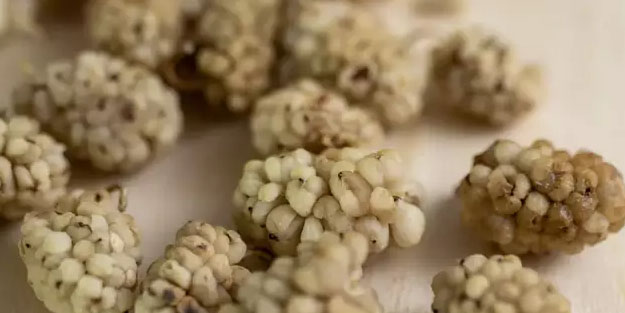 Antibiyotikleri unutturacak meyve! Tüketenler hastalık nedir bilmiyor...