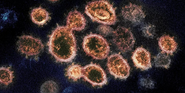 Antikorlarlara yakalanmayan koronavirüs tespit edildi