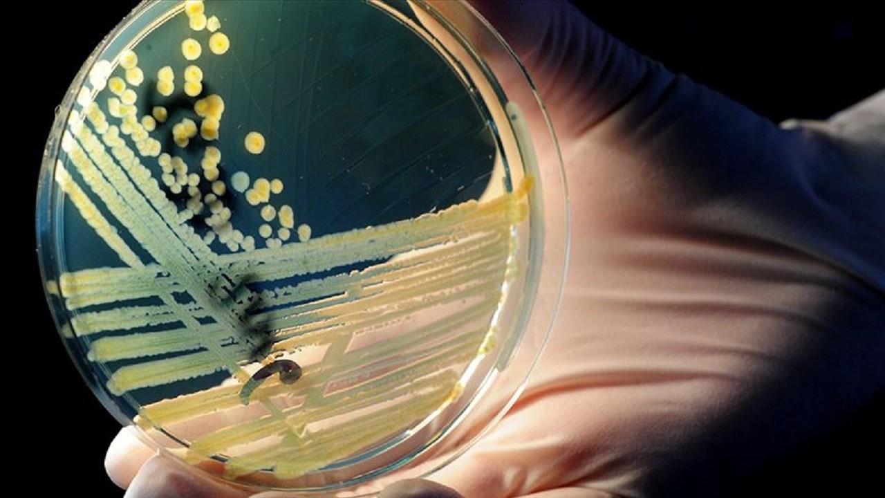 Antimikrobiyal direnç: Mikropların sessiz isyanı!