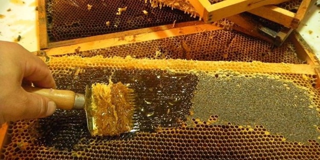 Anzer balının rakibi yok satıyor