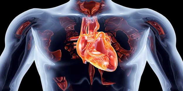 Aort damarı nasıl yırtılır?