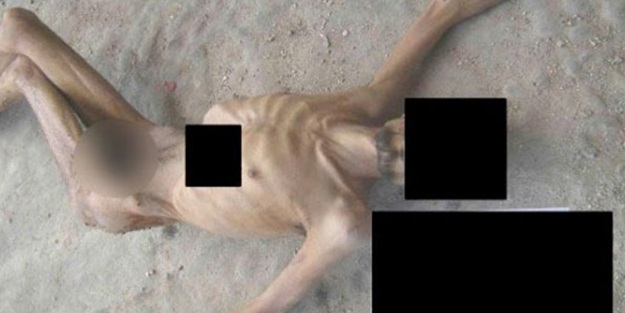 AP işkence fotoğraflarını sergilemeye başladı