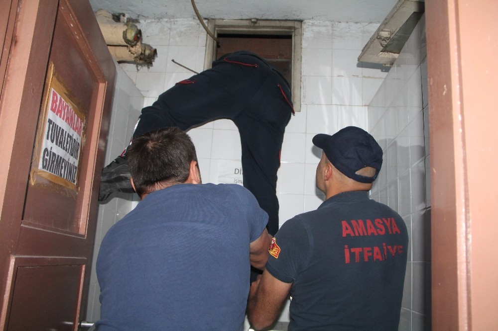 Apartman boşluğuna düşen yavru kediyi itfaiye kurtardı 