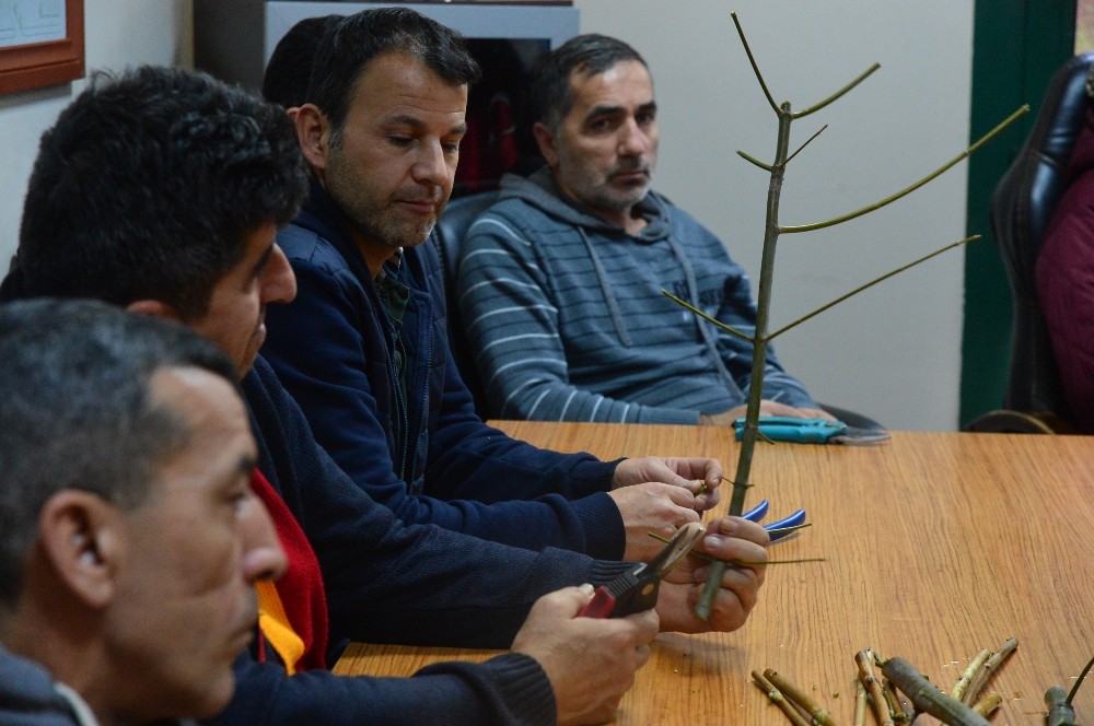 Apartman görevlilerine MEB onaylı budama eğitimi 