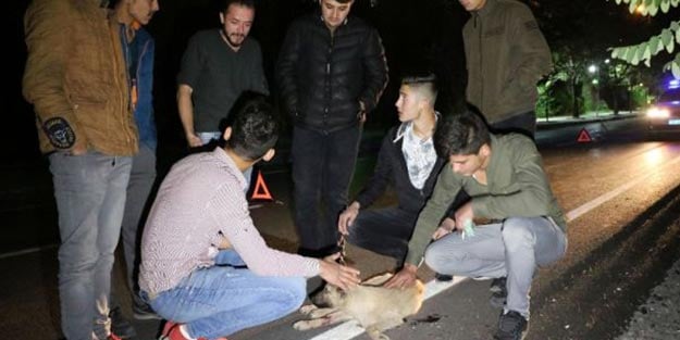 Araba çarpan miniğe, gençler yetişti!