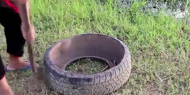 Araba lastiğiyle balık avladı