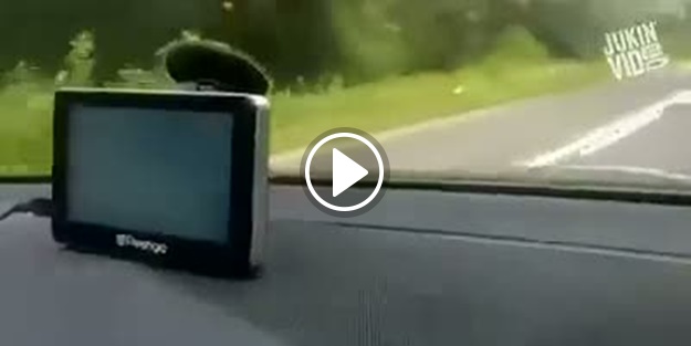 Arabada davetsiz misafir