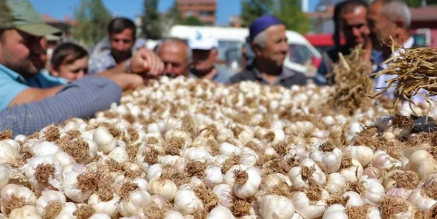 Araban sarımsağı AB'den coğrafi işaret tescili aldı