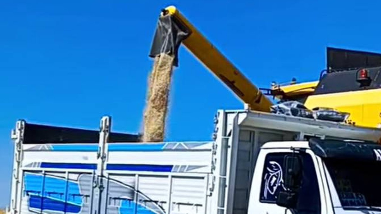 Araban’da yılın ilk buğday hasadı düşük verimle yapıldı