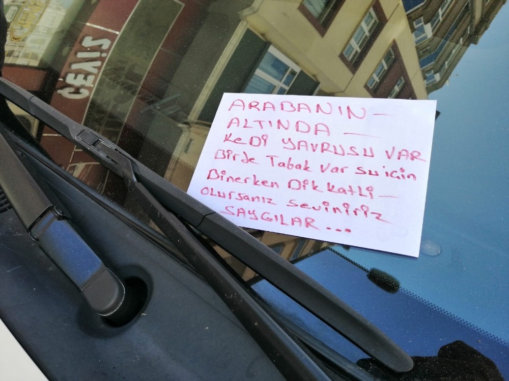 Arabanın altındaki yavru kedi için duygulandıran hareket 