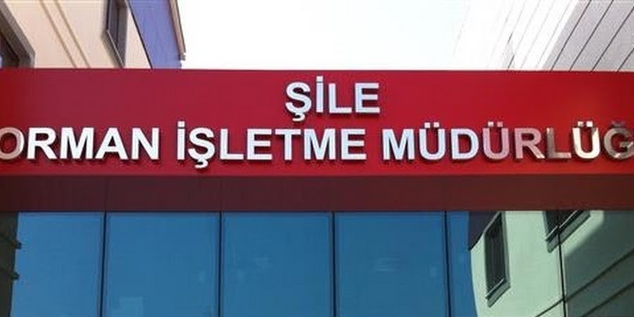 Araç kiralama hizmeti alınacak