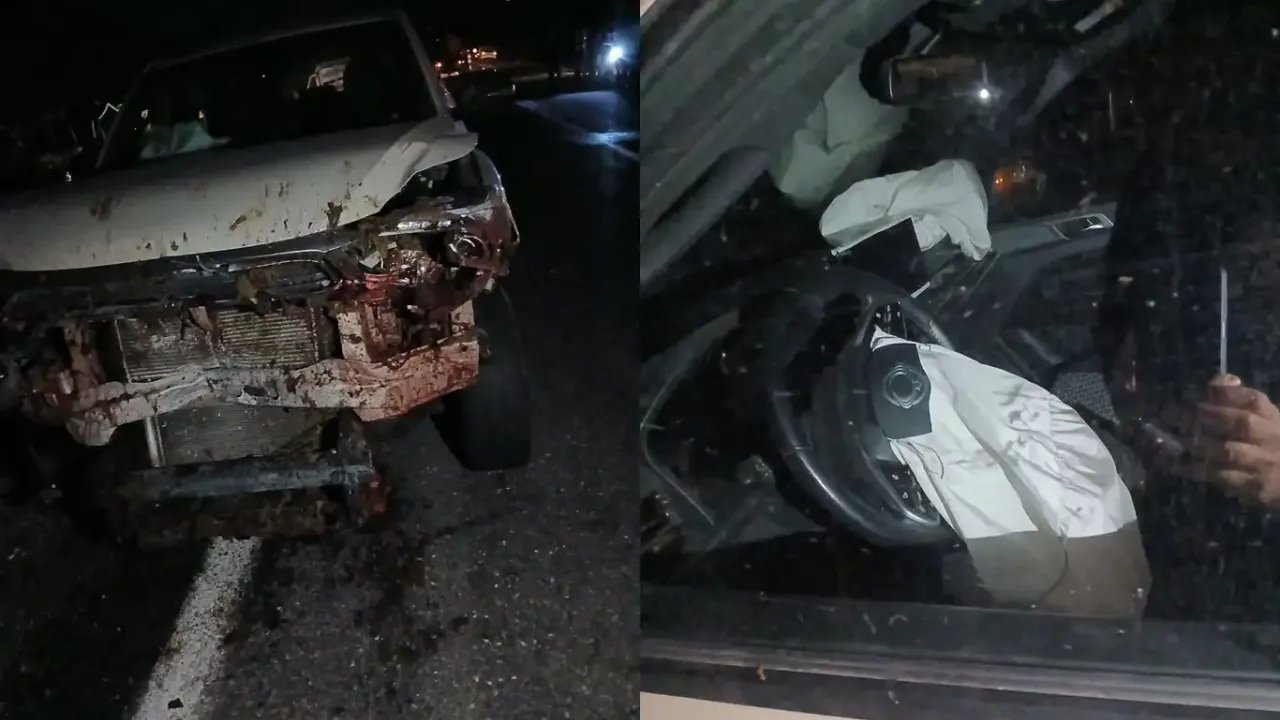 Araç koyun sürüsüne daldı 30 hayvan can verdi!