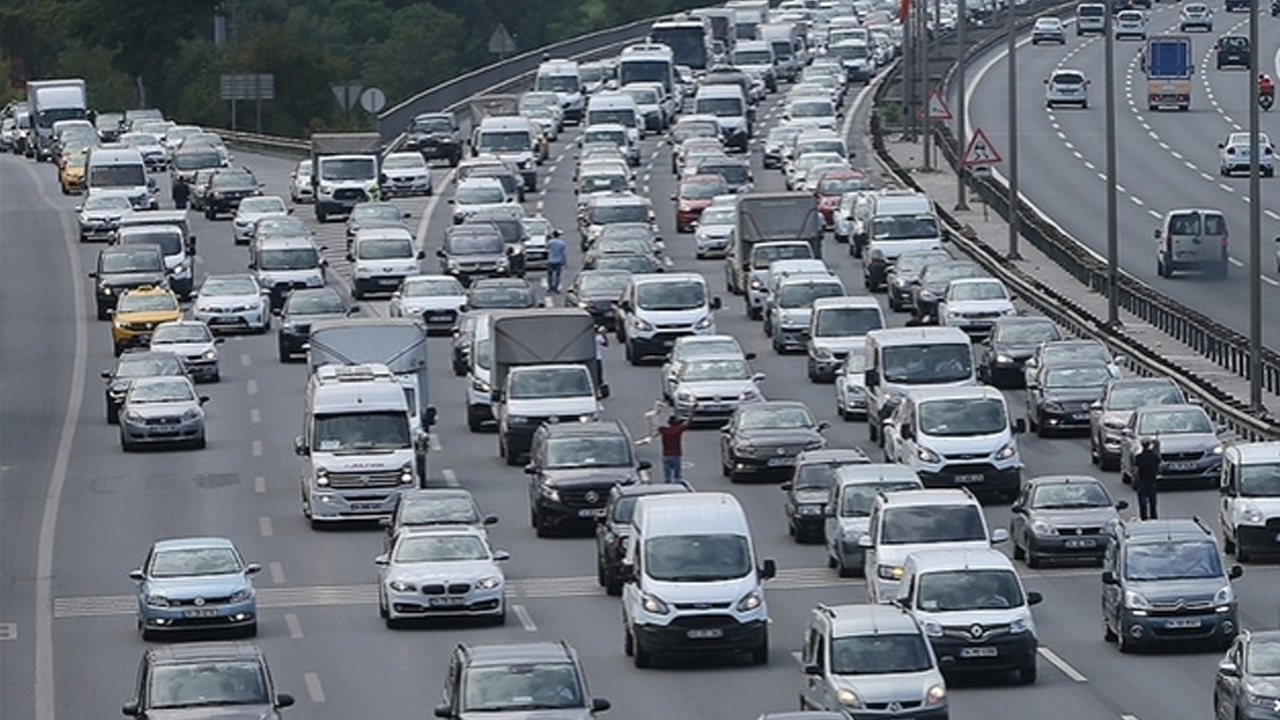 Araç kullanabilen ayılara kötü haber: O kanunlar yürürlüğe girdi