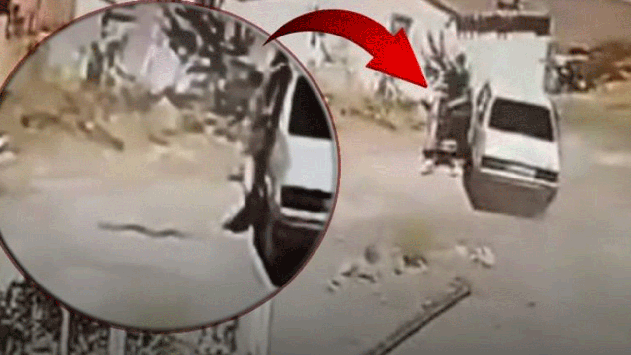 İçindekini görünce aklını kaçırdı: Seyir halindeki araçtan böyle atladı!