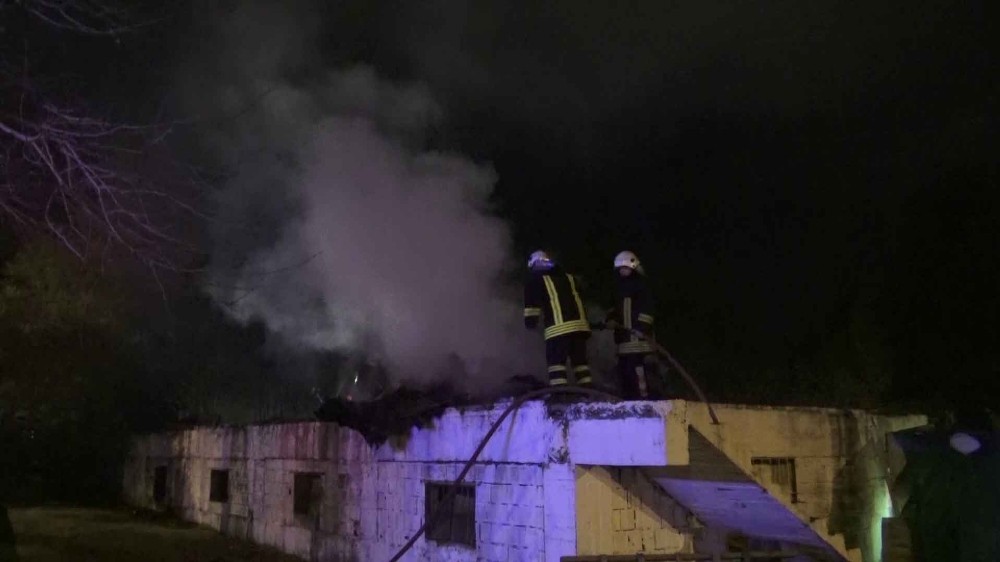 Araçlar yanmaktan son anda kurtuldu 